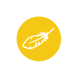 feather icon